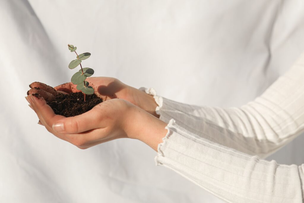 growing a mental health private practice